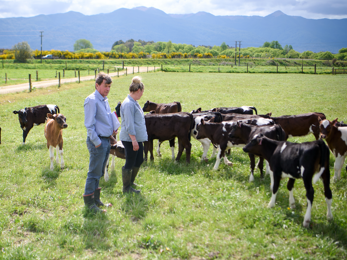 Rob Macbeth and farmer stand in a green pasture surrounded by young calves, with background features rolling hills under a partly cloudy sky.